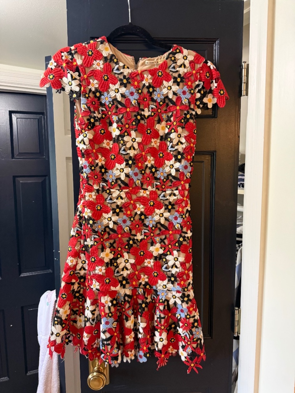 Alice and Olivia mini dress